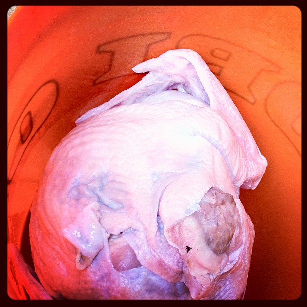 The Turkey drying out after being brined all night - 20 points if you recognize the bucket