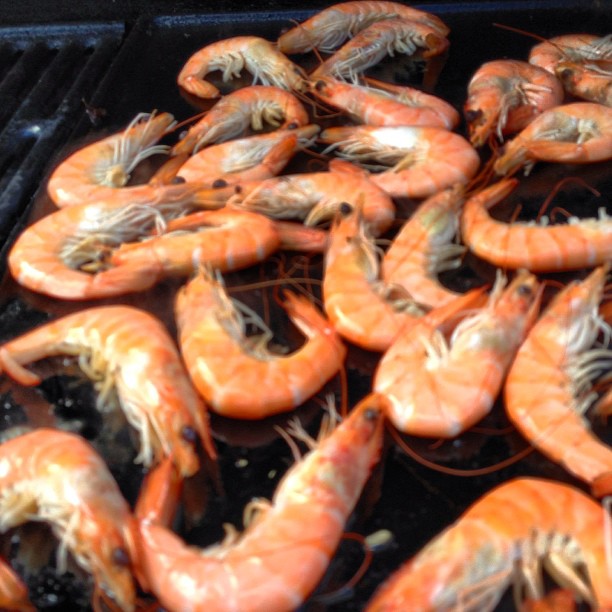 Shrimp on the Barbie - at Mike's house